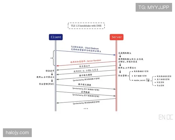 任意球规则详解：判罚条件与执行流程解析