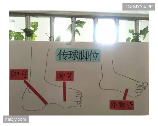 足球出界规则详解：判定标准与裁判判罚细节解析
